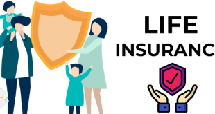 Life Insurance: A Shield for Your Loved Ones' Future